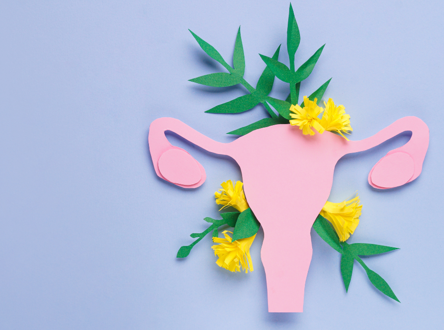 A menopausa e o cérebro