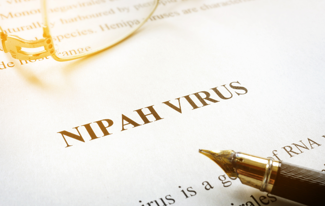 Nipah vírus, a volta daquele que nunca se foi